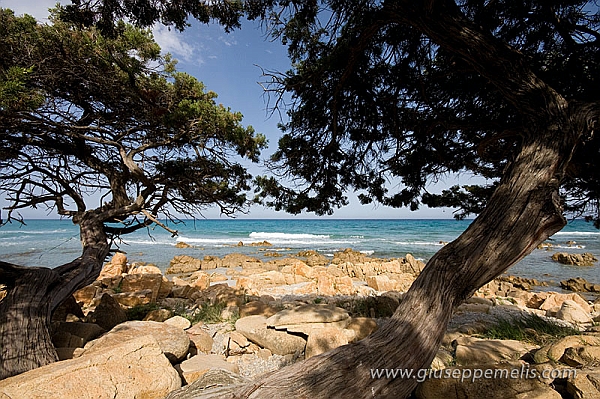 Orosei - Bidderosa (40D_9699_2rid).jpg